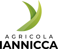 logo-verticale